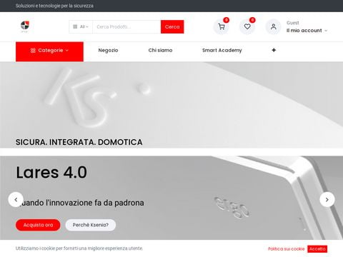 Vendita antifurti telecamere