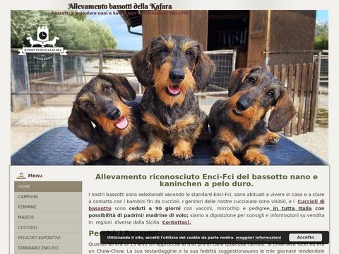 Bassotti della Kafara