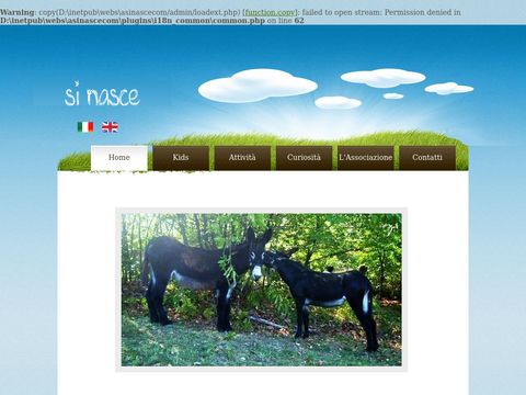 Trekking someggiato a Firenze