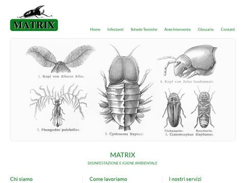 Disinfestazioni  Matrixsystem.it