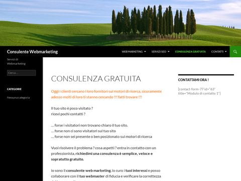 Consulente Web Marketing