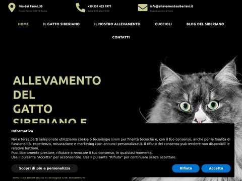 Allevamento di gatti siberiani