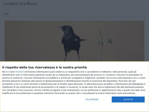 Oro24 - comprooro24roma.it