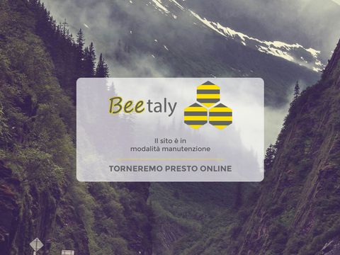 La rete d'impresa di servizi ambientali