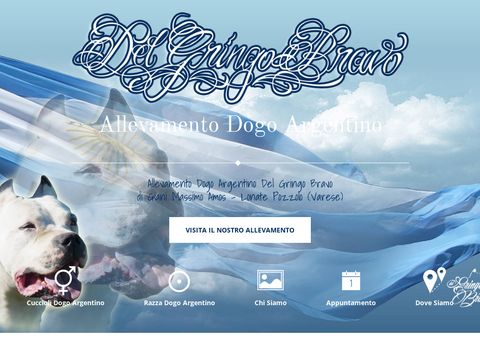 Dogo Argentino Del Gringo Bravo