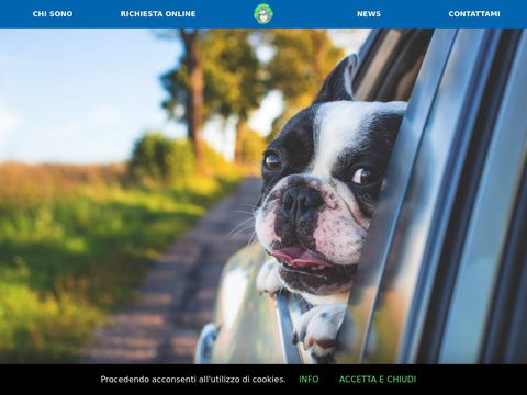 Alimentazione e dieta per cani