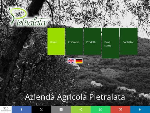 Pietralata - olio extravergine di oliva