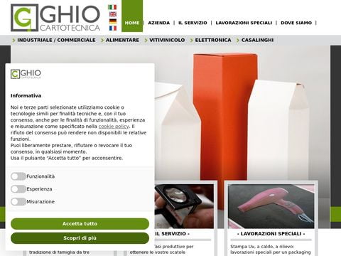 cartotecnicaghio.it