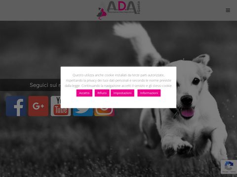 Associazione A.D.A. cuccioli in adozione