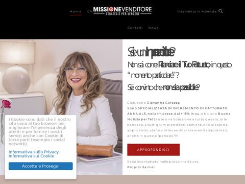 Missione Venditore