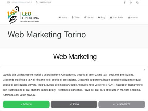 Consulente Web Marketing Torino