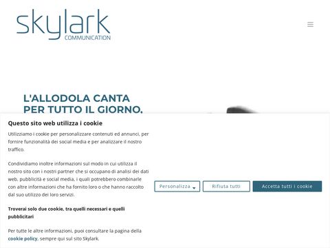 Skylark Communication web agency Guidonia