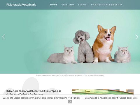 Fisioterapia veterinaria a Lucca