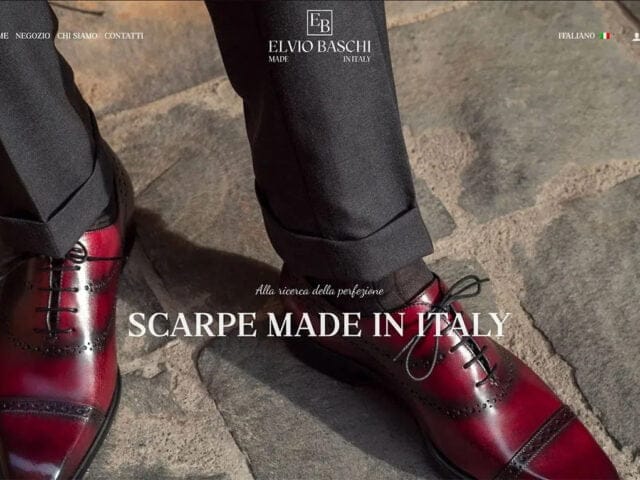 Sito web realizzato per Elvio Baschi