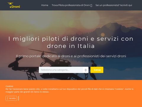 Piloti drone, professionisti e migliori modelli